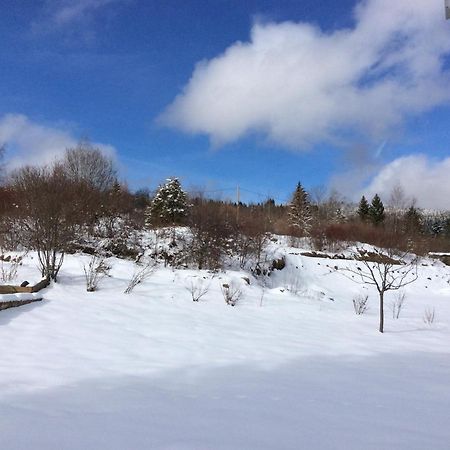 Echallon Chambre D Hotes Du Lac Bed & Breakfast エクステリア 写真